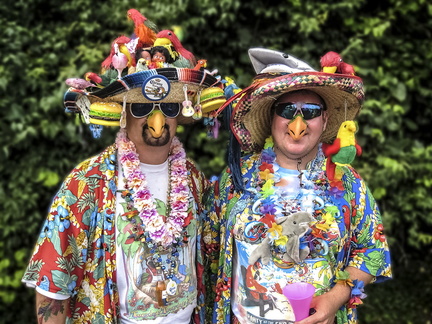 That Parrot Head Party