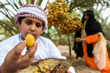 Liwa Date Festival