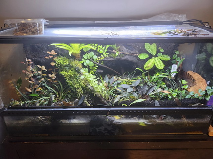Reptile &amp;Plant Expo