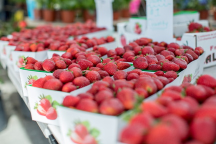 Oxnard Certified Farmers' Market