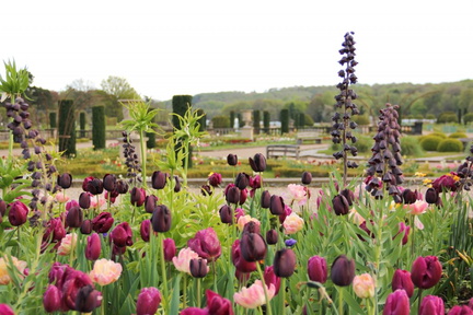 Spring Bulb Festival