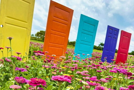 Annual Flower Festival - The Berry Farm