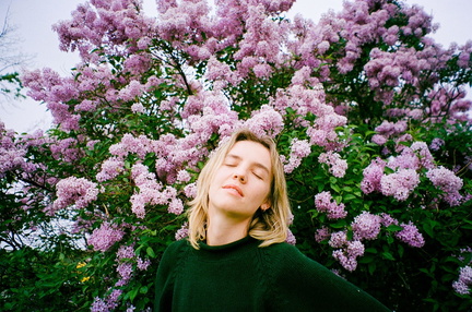 The Japanese House