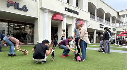 Rinku Dog Festival!