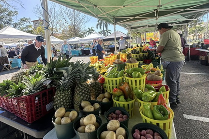 Coconut Point Farmer’s Market