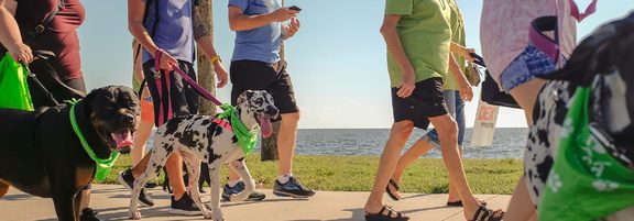 34th Annual Pet Walk