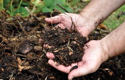 Free Home Composting Workshop