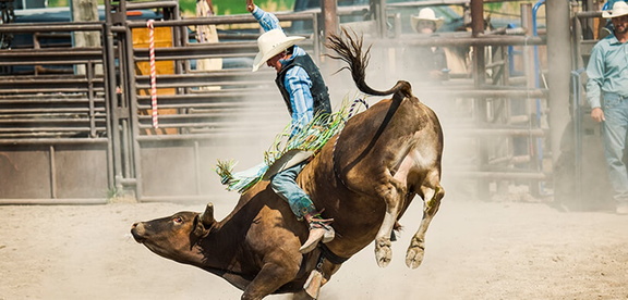 rodeo (1)