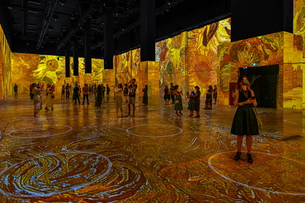 62965245092df66efa76c089_vangogh