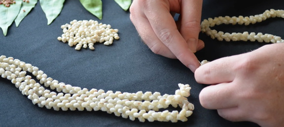 Niʻihau Shell Workshop with Kai Hyde