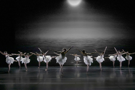 Swan Lake