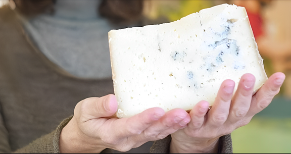 Market Tastings – All The Markets Cheeses Found!