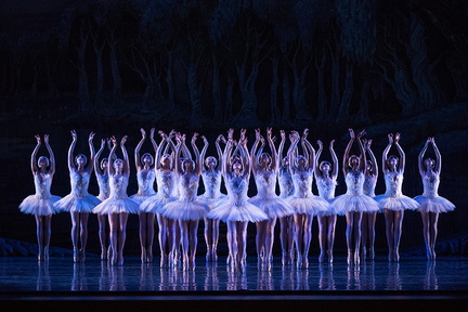 Swan Lake .