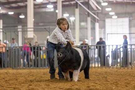 Spring Youth Livestock Show