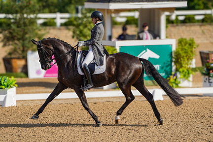 HITS Festival of the Horse