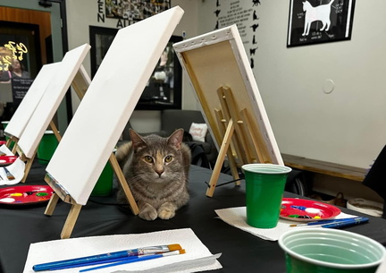 Painting with Cats