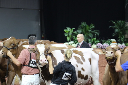 spring dairy expo
