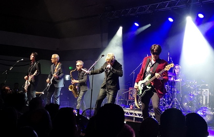 Psychedelic Furs