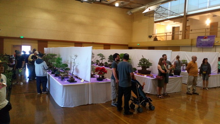 50th Annual Bonsai Exhibition