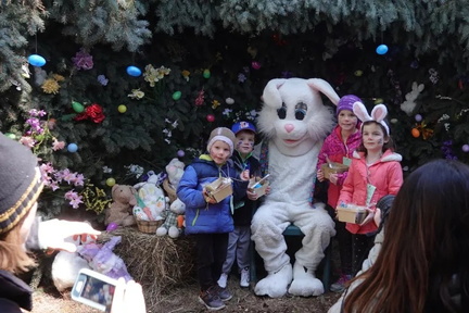 Easter Egg Roundup