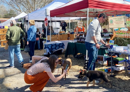 Day Dreaming Market