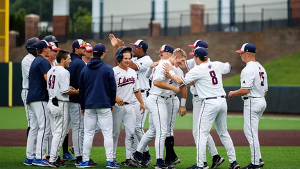 Liberty Flames Baseball