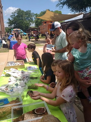 Bug Fest