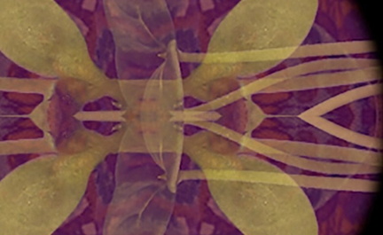 Amanda Besl - Temple of Hortus