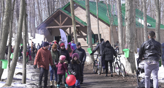 Vanier Sugar Festival