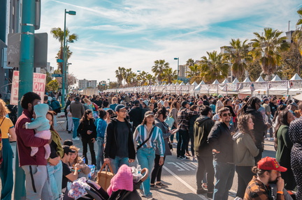Vegan Street Fair