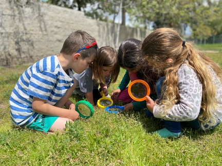 PlayDay