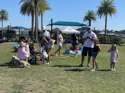 Annual Mosaic Pet Palooza