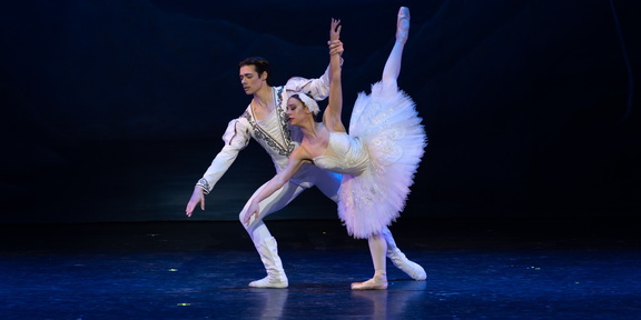 VSB SwanLake HR-16New Web Banner.height-1475