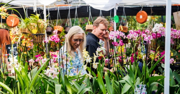 Orchid Festival