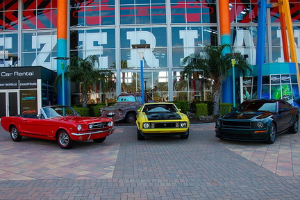 Mustangs at Dezerland