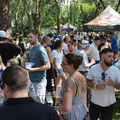 crowd22-scaled
