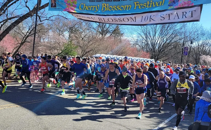 Essex County Cherry Blossom 10K Run
