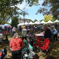 Tennessee Beer, Wine, and Shine Festival