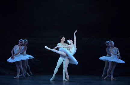 swan lake