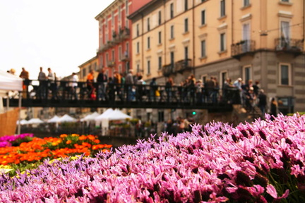 Fiori e Sapori sul Naviglio Grande