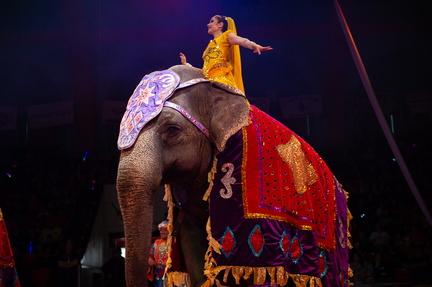 El Zagal Shrine Circus
