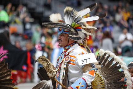 34th Annual Woodlands and High Plains Powwow