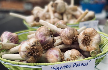 Salem Saturday Market