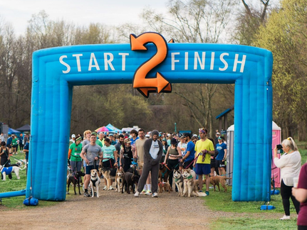 Charlotte's Dog Jog