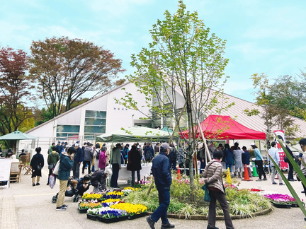 Rose Spring Exciting Festival