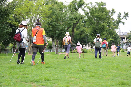 Cherry Blossom Viewing Festival