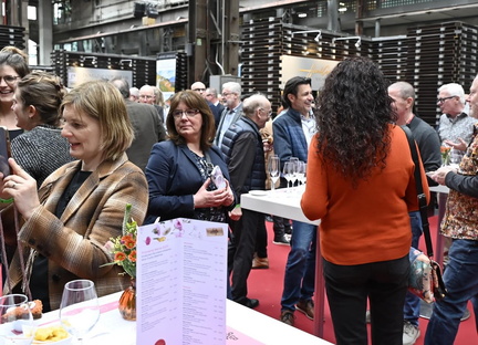 Expovina Primavera 2025