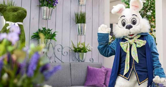 Caring Bunny