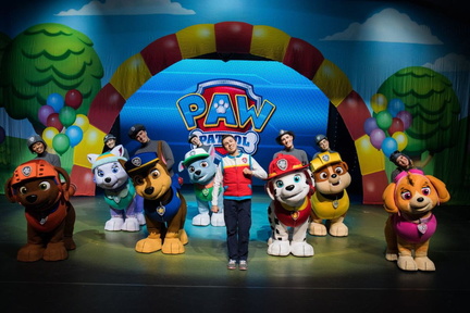paw patrol