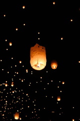 The Lights Fest